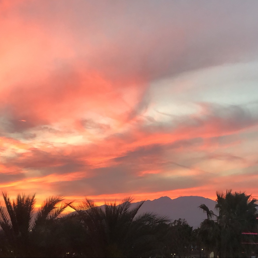 Meet your Posher, Marissa